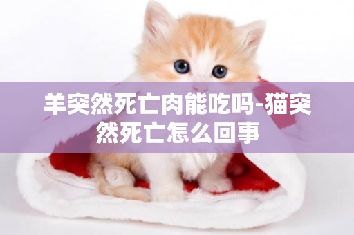 羊突然死亡肉能吃嗎-貓突然死亡怎么回事