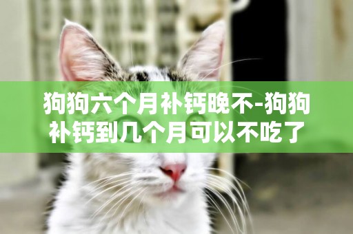 狗狗六個月補鈣晚不-狗狗補鈣到幾個月可以不吃了