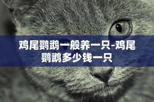 雞尾鸚鵡一般養一只-雞尾鸚鵡多少錢一只