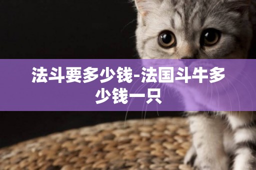 法斗要多少錢-法國斗牛多少錢一只