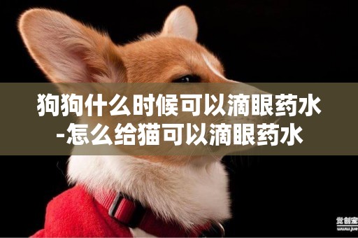 狗狗什么時候可以滴眼藥水-怎么給貓可以滴眼藥水