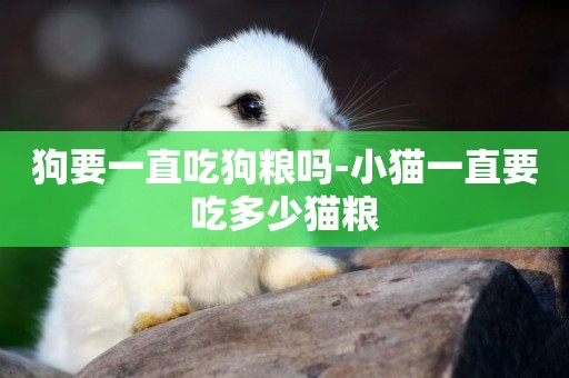 狗要一直吃狗糧嗎-小貓一直要吃多少貓糧