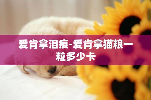 愛肯拿淚痕-愛肯拿貓糧一粒多少卡