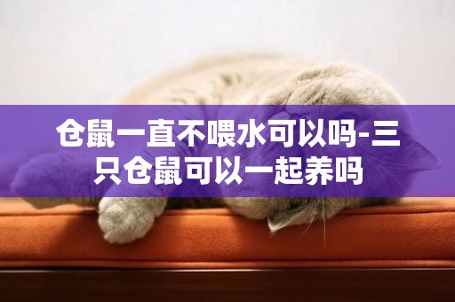 倉鼠一直不喂水可以嗎-三只倉鼠可以一起養嗎