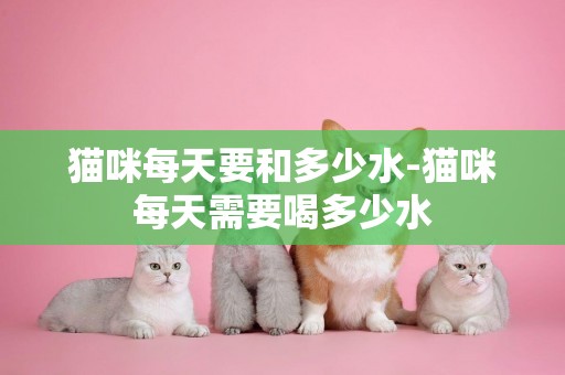 貓咪每天要和多少水-貓咪每天需要喝多少水