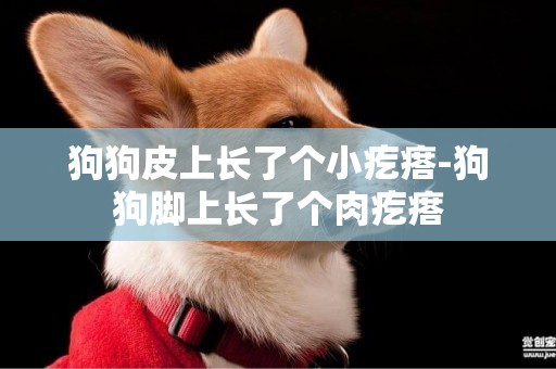 狗狗皮上長了個小疙瘩-狗狗腳上長了個肉疙瘩