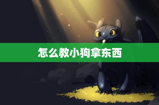 怎么教小狗拿東西
