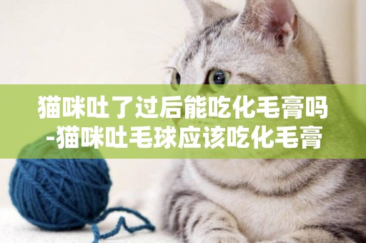 貓咪吐了過后能吃化毛膏嗎-貓咪吐毛球應該吃化毛膏嗎