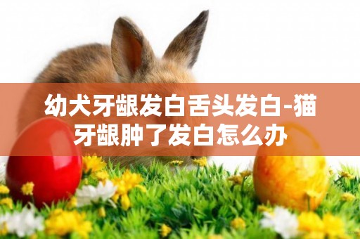 幼犬牙齦發白舌頭發白-貓牙齦腫了發白怎么辦