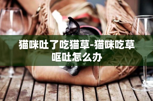 貓咪吐了吃貓草-貓咪吃草嘔吐怎么辦