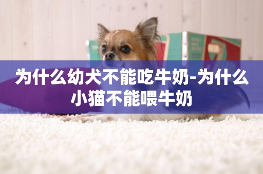 為什么幼犬不能吃牛奶-為什么小貓不能喂牛奶