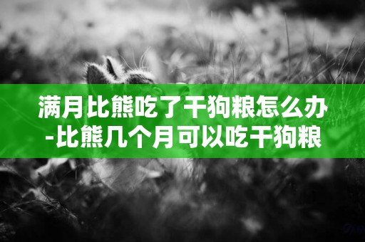 滿月比熊吃了干狗糧怎么辦-比熊幾個月可以吃干狗糧