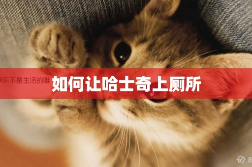 如何讓哈士奇上廁所