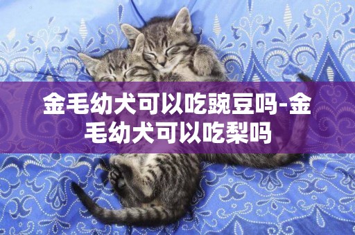 金毛幼犬可以吃豌豆嗎-金毛幼犬可以吃梨嗎