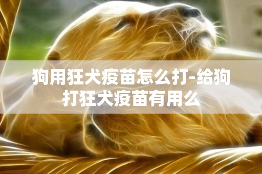 狗用狂犬疫苗怎么打-給狗打狂犬疫苗有用么