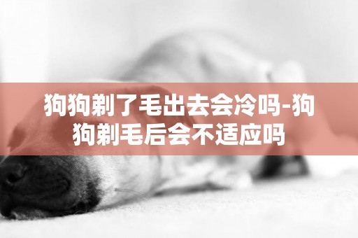 狗狗剃了毛出去會冷嗎-狗狗剃毛后會不適應嗎