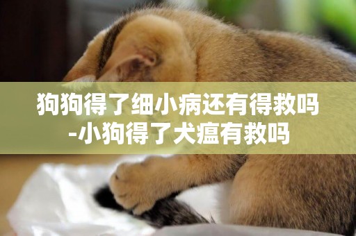 狗狗得了細小病還有得救嗎-小狗得了犬瘟有救嗎