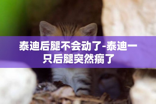 泰迪后腿不會動了-泰迪一只后腿突然瘸了