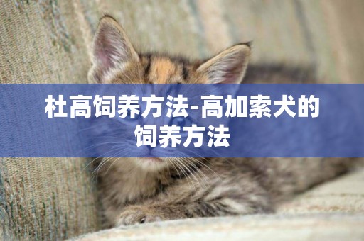 杜高飼養方法-高加索犬的飼養方法
