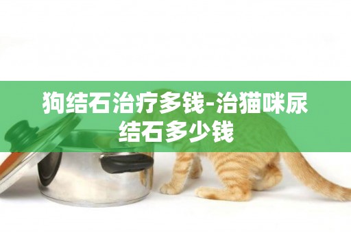 狗結石治療多錢-治貓咪尿結石多少錢
