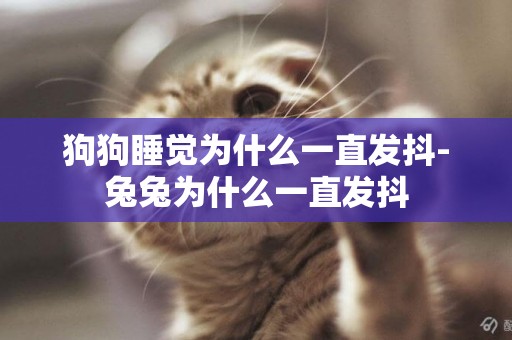 狗狗睡覺為什么一直發抖-兔兔為什么一直發抖