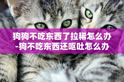 狗狗不吃東西了拉稀怎么辦-狗不吃東西還嘔吐怎么辦
