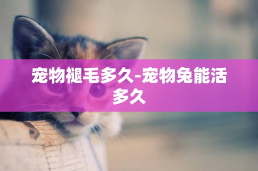 寵物褪毛多久-寵物兔能活多久