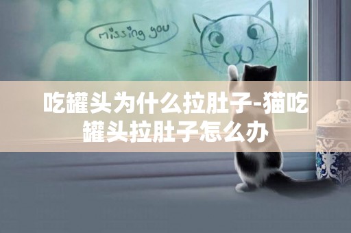 吃罐頭為什么拉肚子-貓吃罐頭拉肚子怎么辦