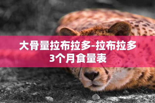 大骨量拉布拉多-拉布拉多3個月食量表