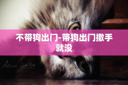 不帶狗出門-帶狗出門撒手就沒