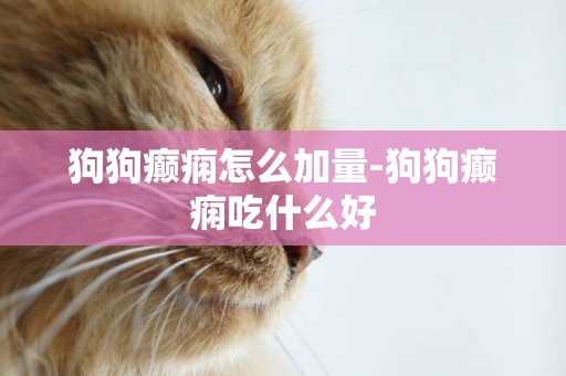 狗狗癲癇怎么加量-狗狗癲癇吃什么好