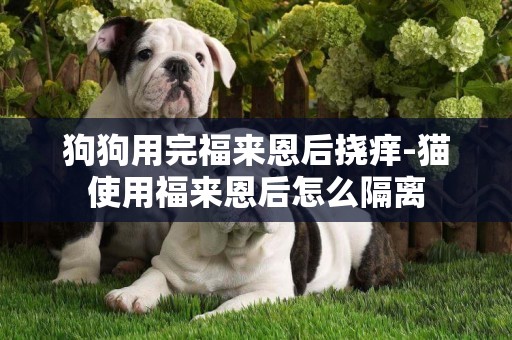 狗狗用完福來恩后撓癢-貓使用福來恩后怎么隔離