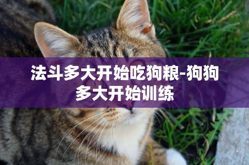 法斗多大開始吃狗糧-狗狗多大開始訓練