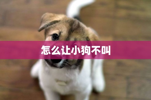 怎么讓小狗不叫
