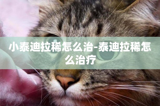 小泰迪拉稀怎么治-泰迪拉稀怎么治療