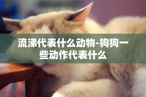 流涕代表什么動物-狗狗一些動作代表什么
