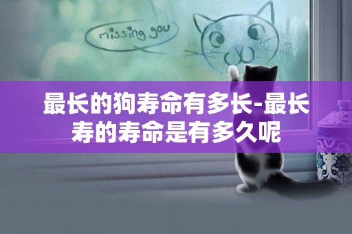 最長的狗壽命有多長-最長壽的壽命是有多久呢