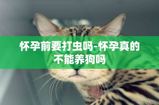 懷孕前要打蟲嗎-懷孕真的不能養狗嗎