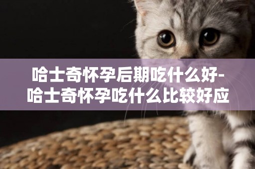 哈士奇懷孕后期吃什么好-哈士奇懷孕吃什么比較好應該怎么喂養呢