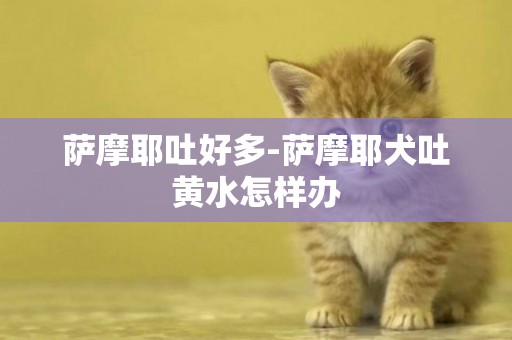 薩摩耶吐好多-薩摩耶犬吐黃水怎樣辦