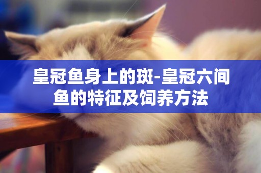 皇冠魚身上的斑-皇冠六間魚的特征及飼養方法