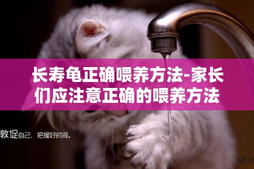 長壽龜正確喂養方法-家長們應注意正確的喂養方法