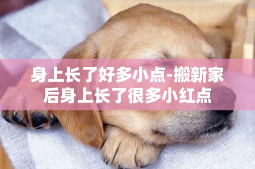 身上長了好多小點-搬新家后身上長了很多小紅點