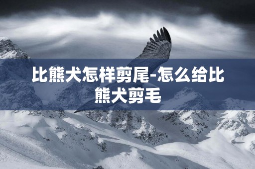 比熊犬怎樣剪尾-怎么給比熊犬剪毛