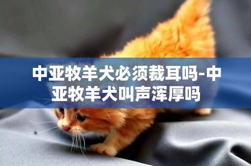 中亞牧羊犬必須裁耳嗎-中亞牧羊犬叫聲渾厚嗎