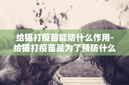 給貓打疫苗能防什么作用-給貓打疫苗是為了預防什么