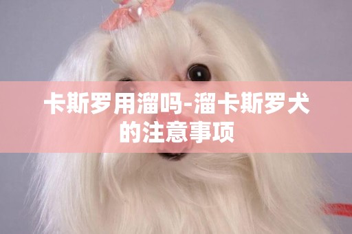 卡斯羅用溜嗎-溜卡斯羅犬的注意事項