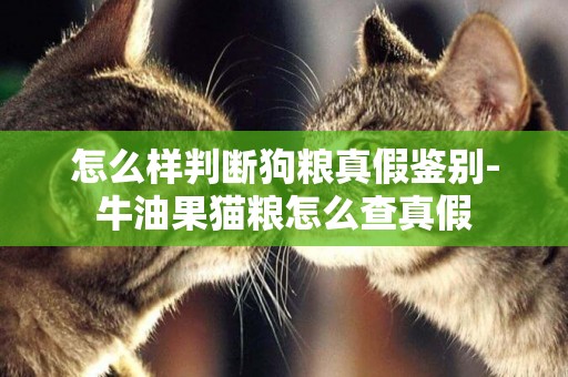 怎么樣判斷狗糧真假鑒別-牛油果貓糧怎么查真假