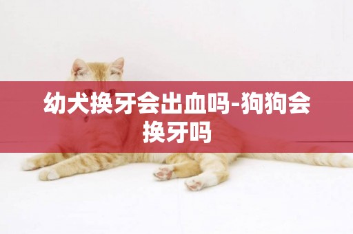幼犬換牙會出血嗎-狗狗會換牙嗎