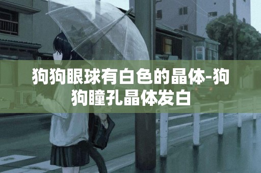 狗狗眼球有白色的晶體-狗狗瞳孔晶體發白